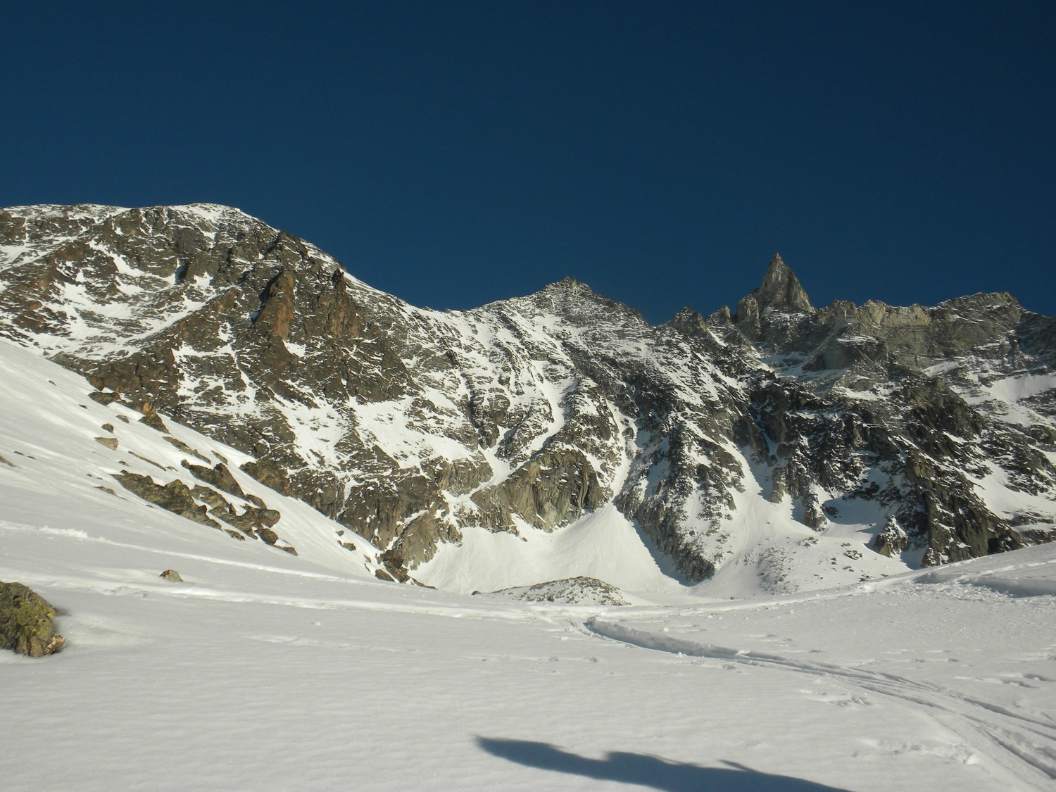Face W de la dent de tsalion