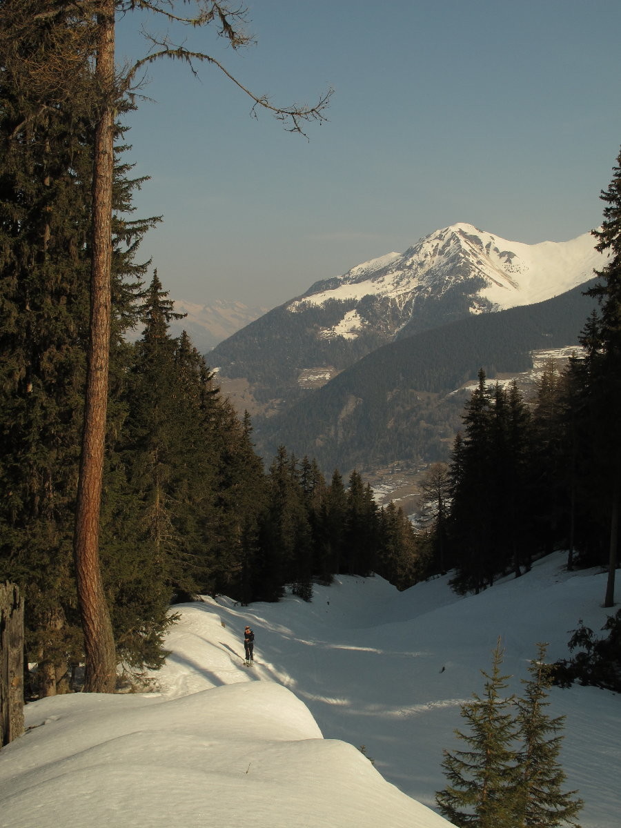 montée dans la forêt