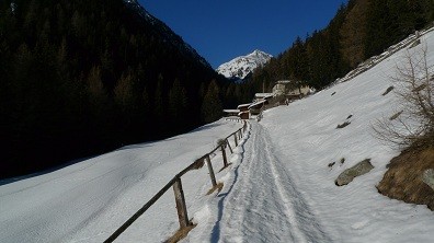 la mulattiera per la Val Sarsura