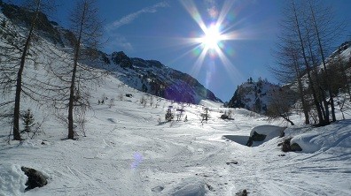 ottimo firn