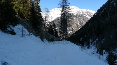 valanga di fondo sulla mulattiera del bosco