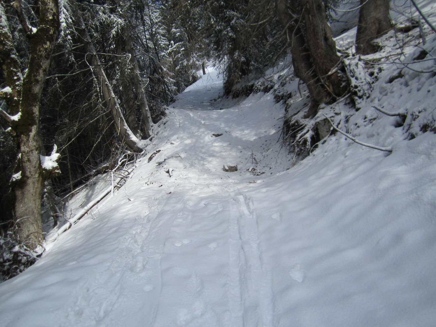 Le chemin