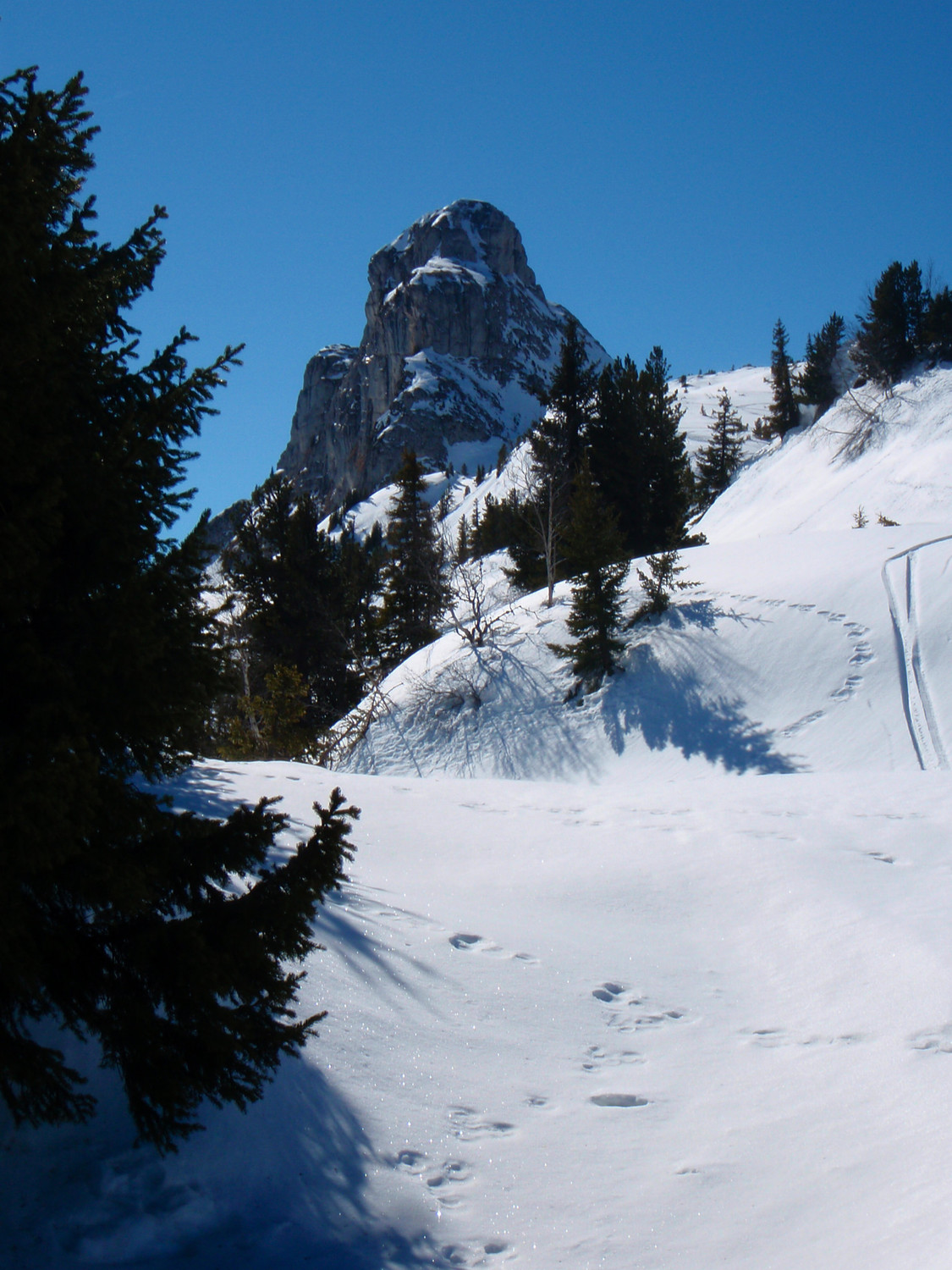 la Tour se dresse majestueuse