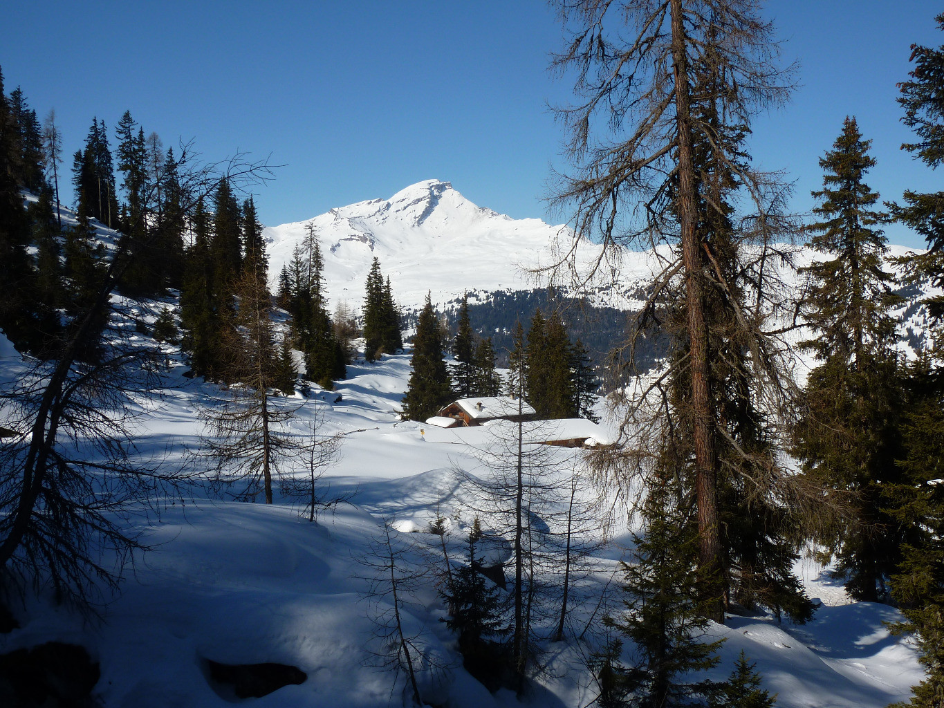 Vista dell'alpe Tischatscha sullo sfondo il Beverin, salendo al Piz Curver