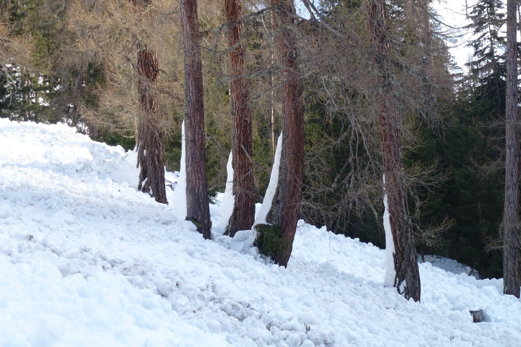 valanghe