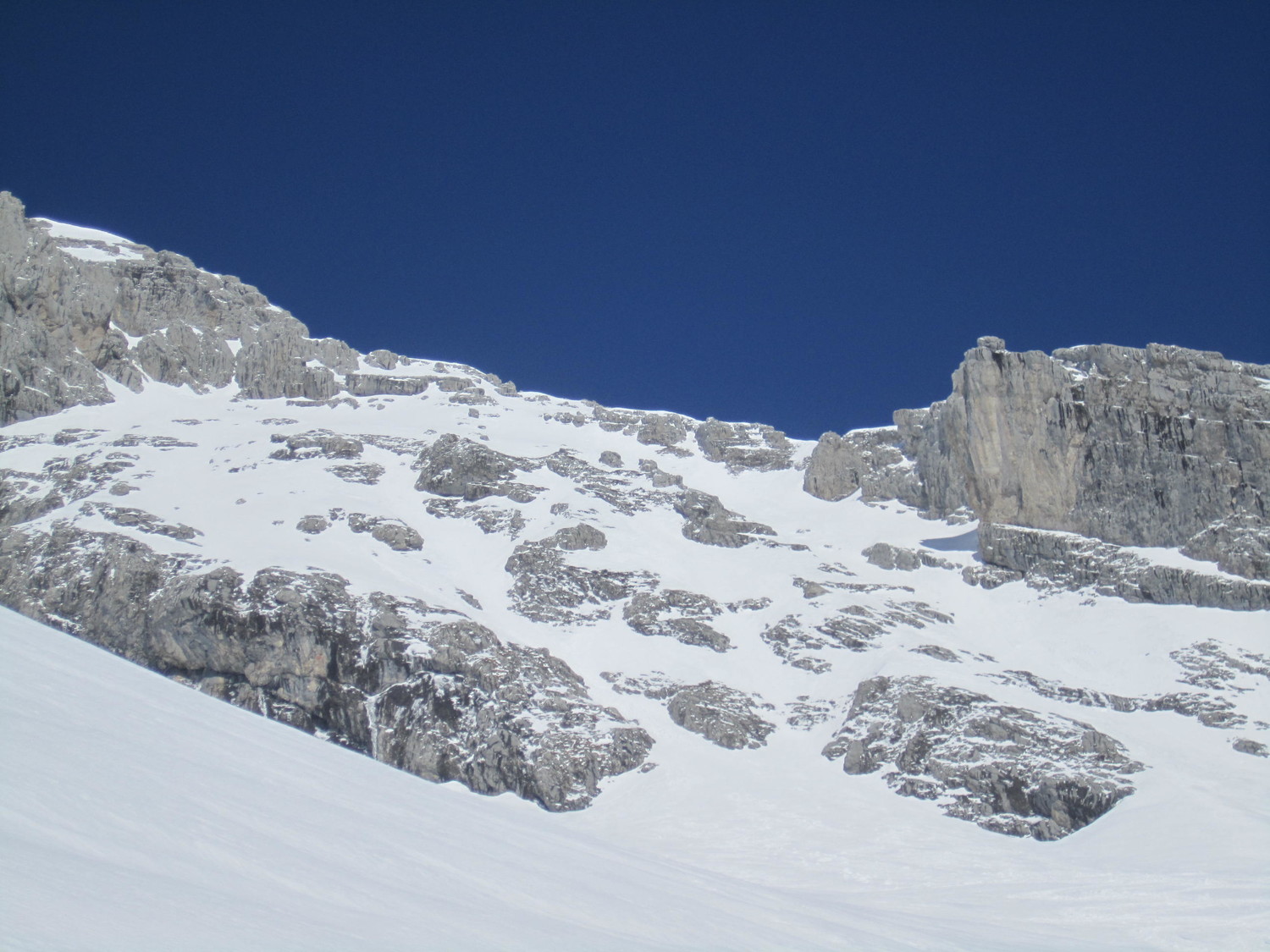 Face S de pointe blanche ce jour