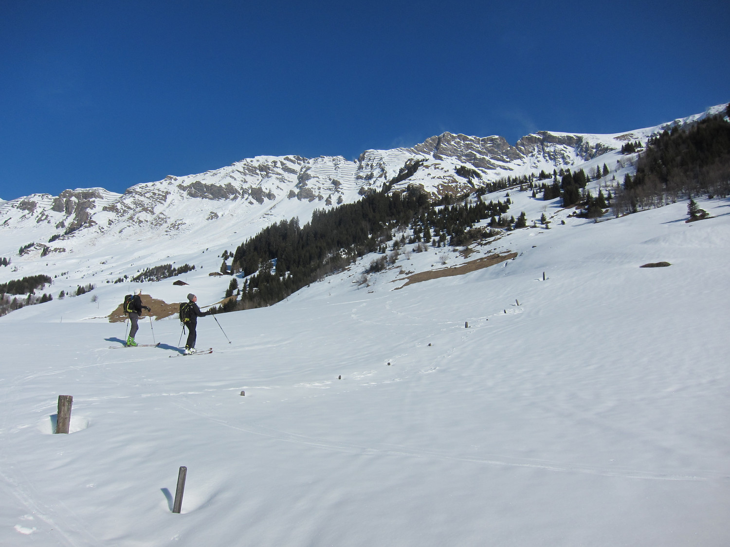 Para, Tarent, etc au-dessus des Diablerets