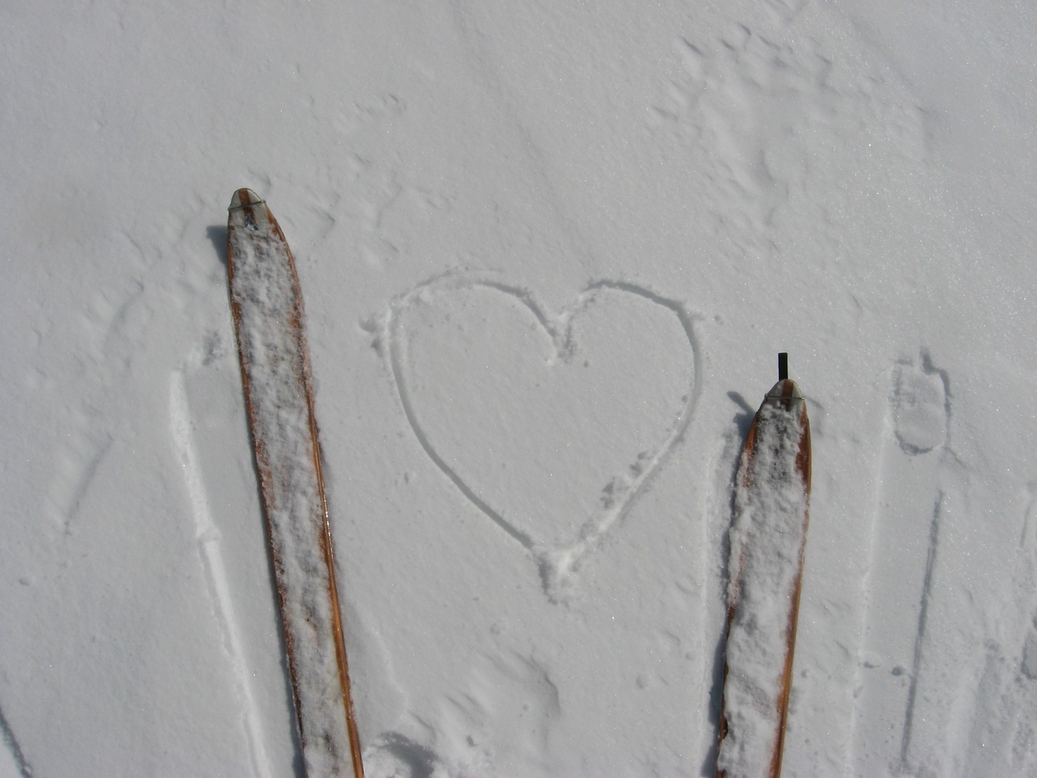 Apparition d'un peu de poudre vers 2200m