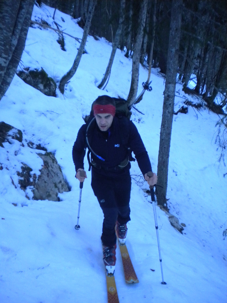 montée dans les bois