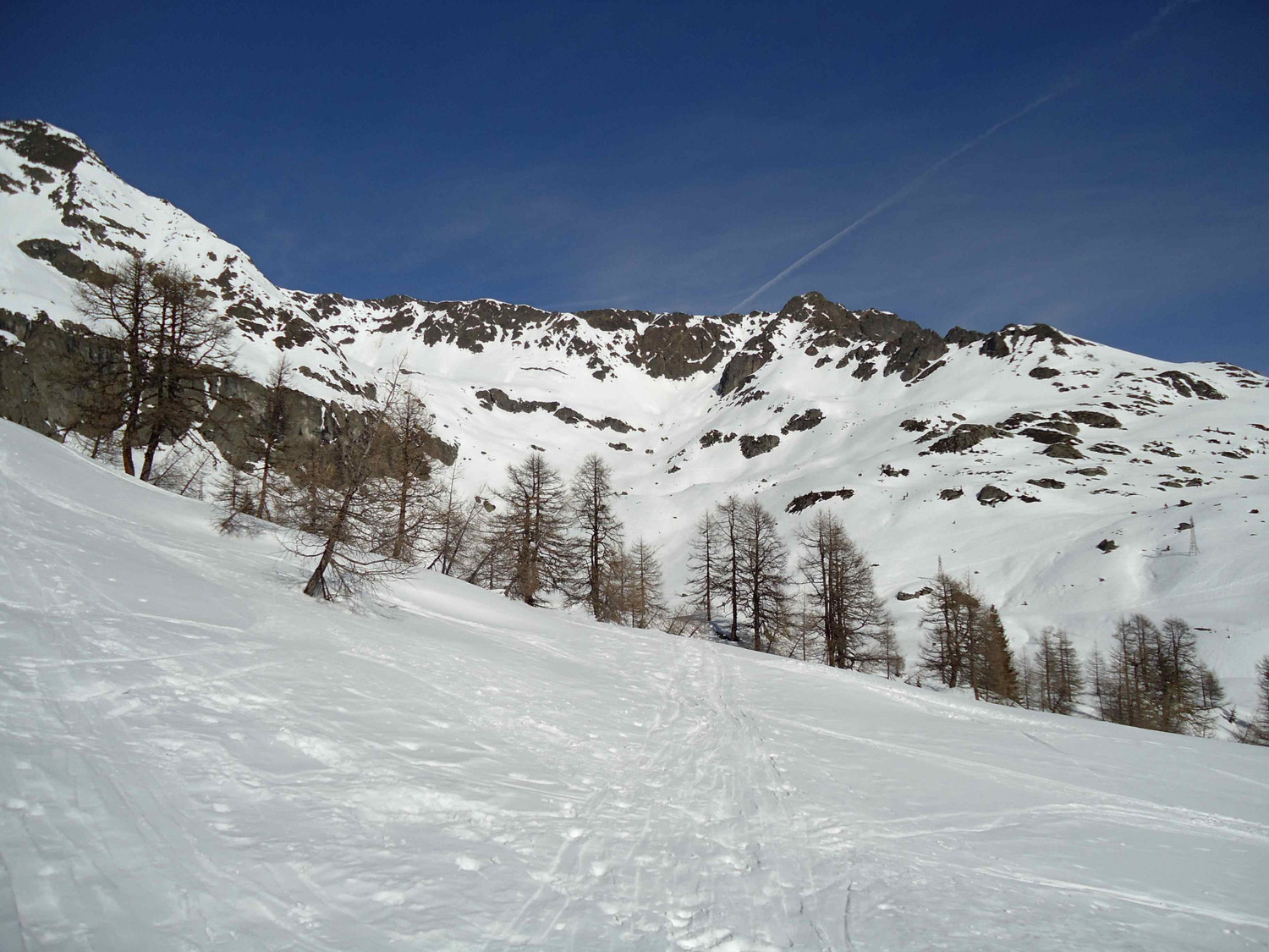 après un assez long passage en forêt, l'alpage