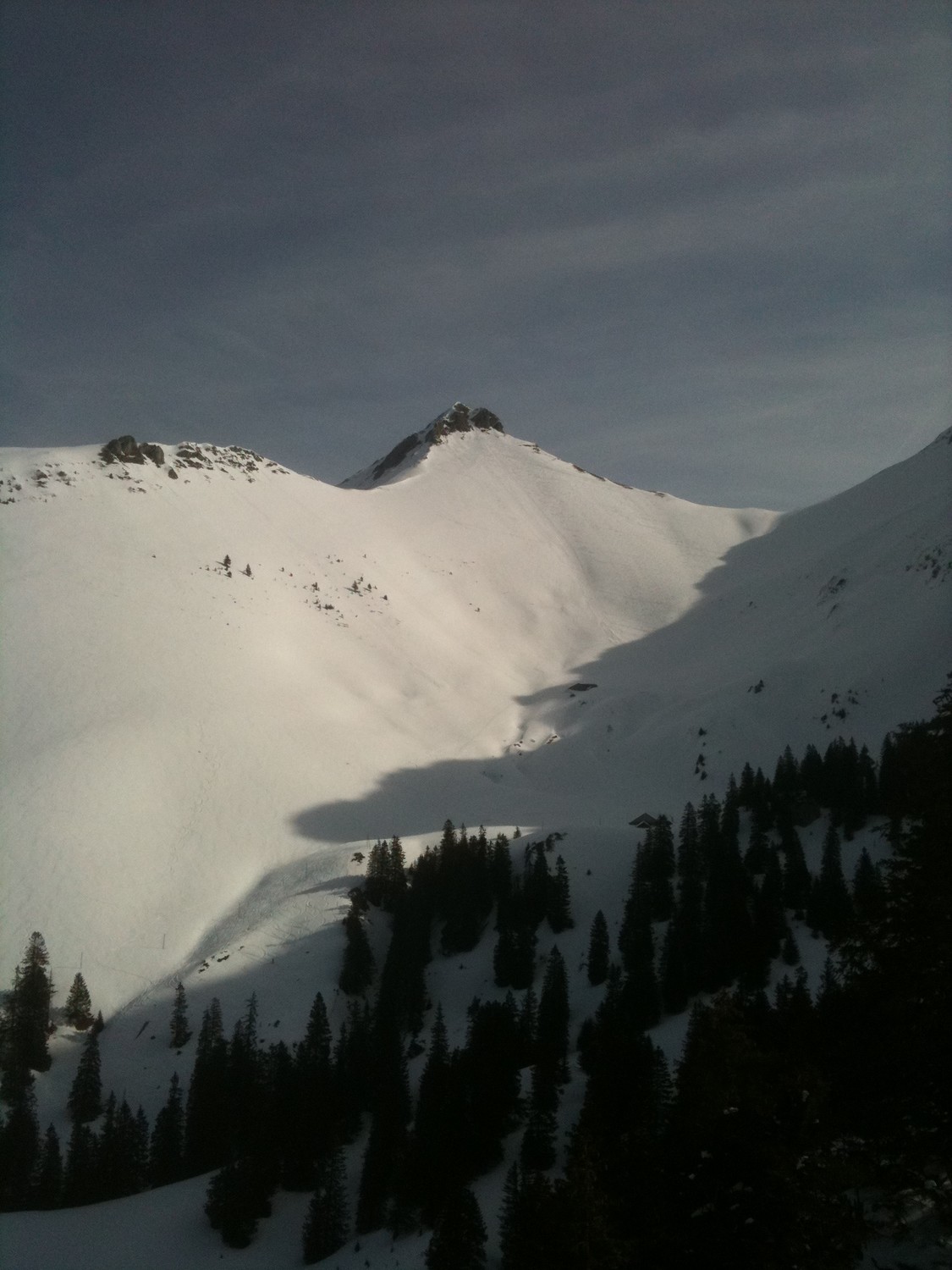 Ochsen de loin