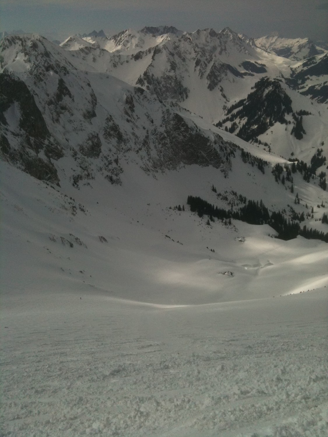 Ochsen d'en haut