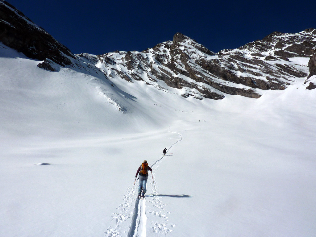 Au pied de la combe: Patricia en chasse...