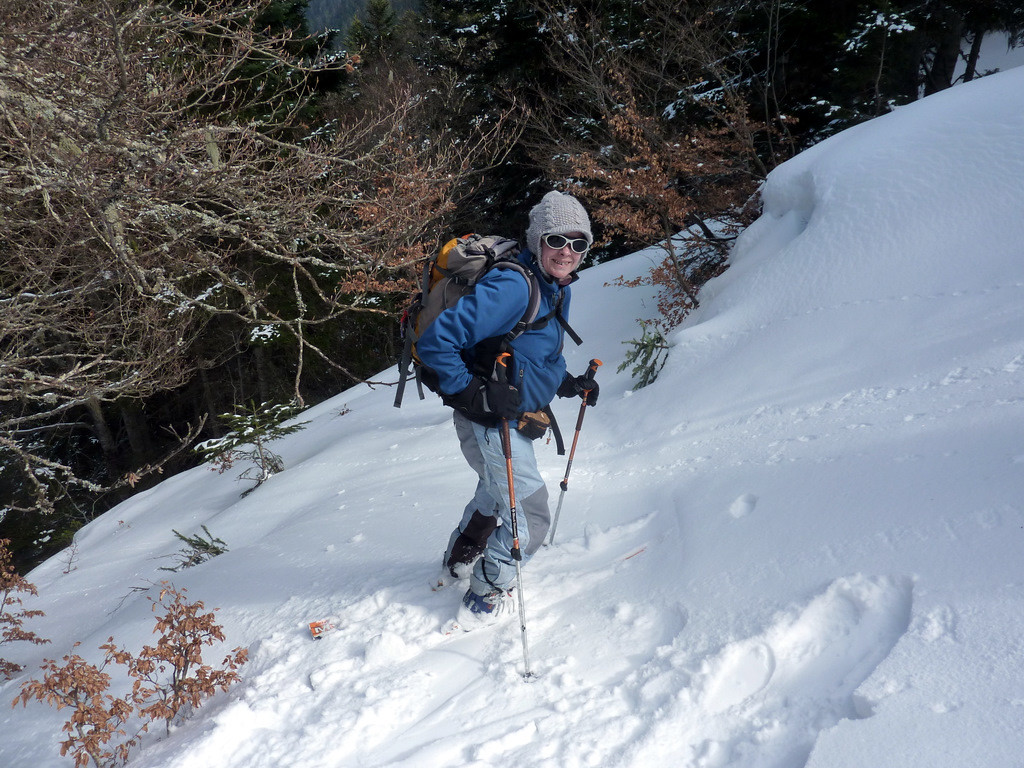 Bon ski dans la hêtraie