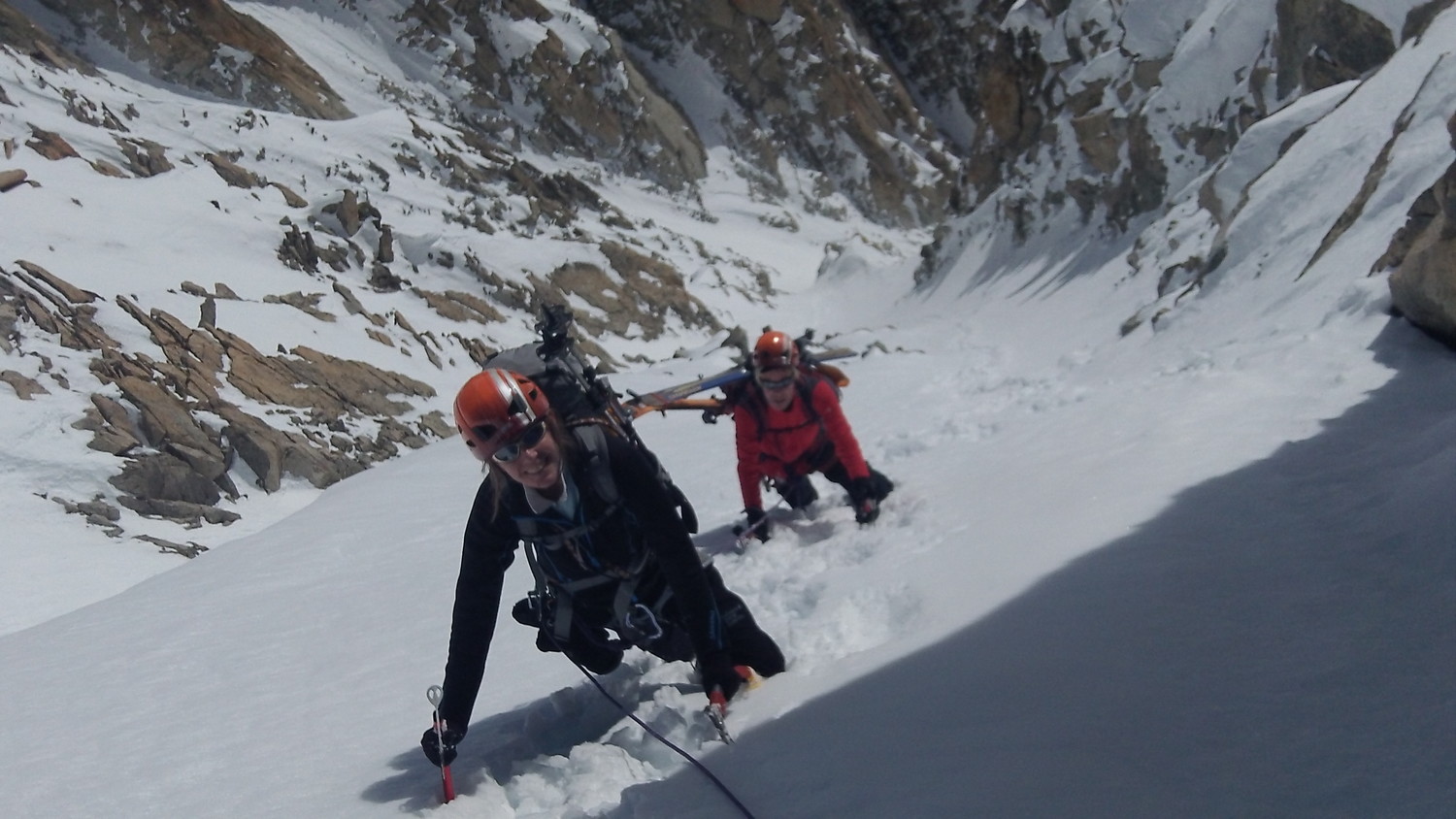 en haut de la branche de gauche