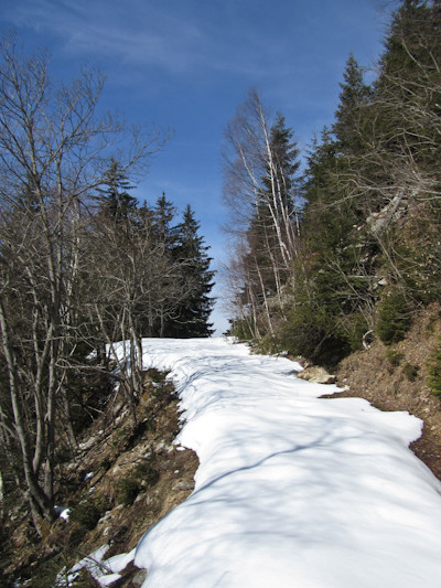 Traversée de Belledonne : montée forestière au col de la Perrière