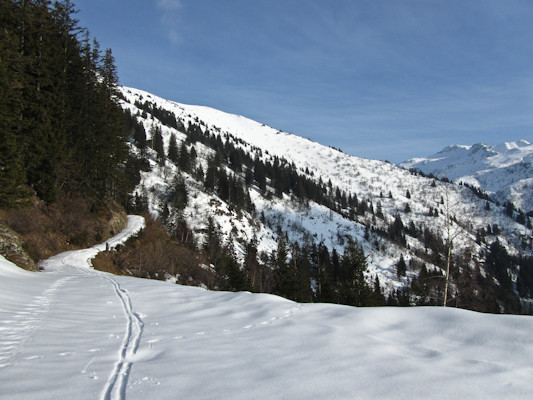 Traversée de Belledonne : descente du Grand Chat par chemins forestiers