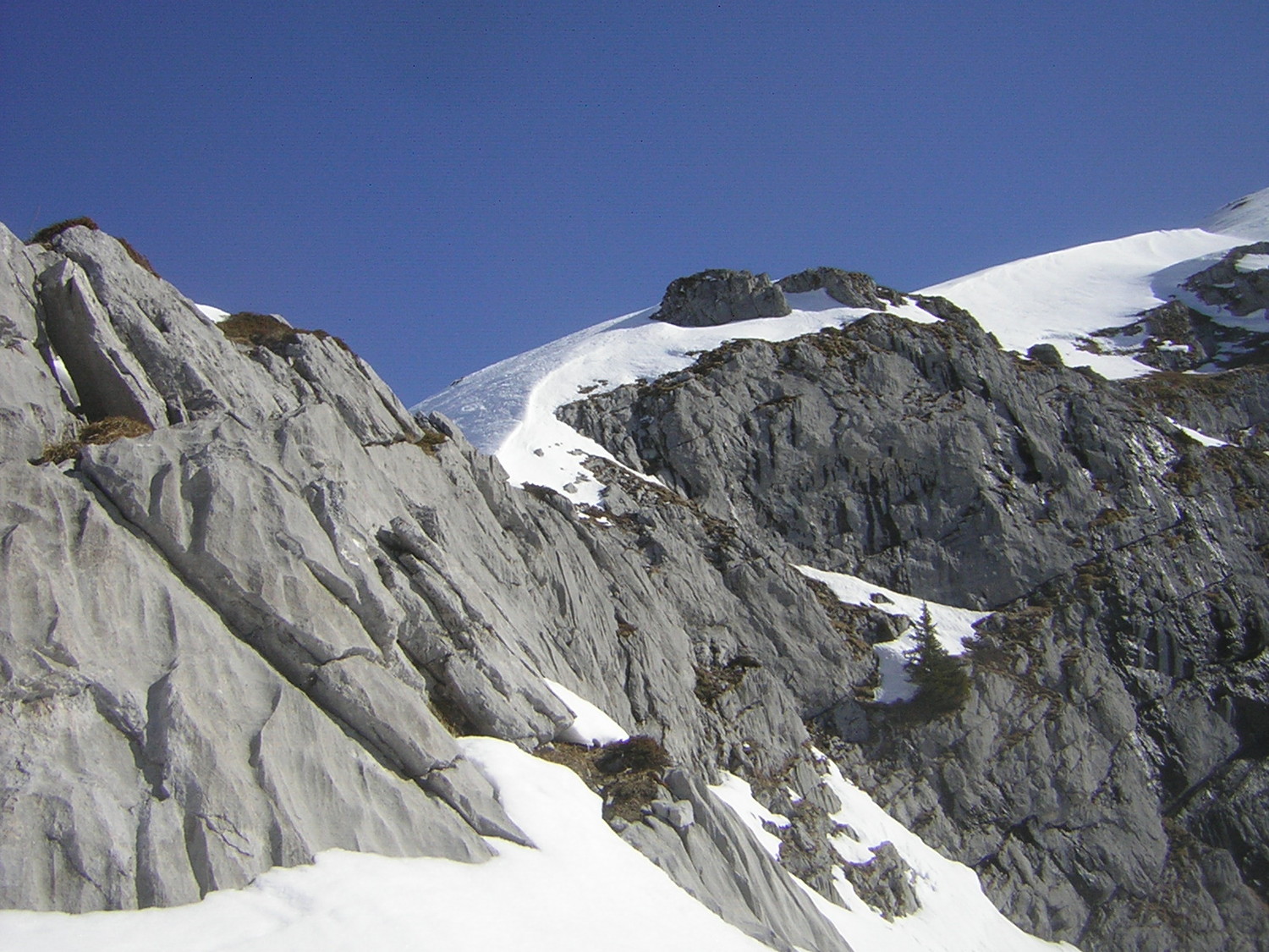 En traversant vers les Prés aux Chèvres