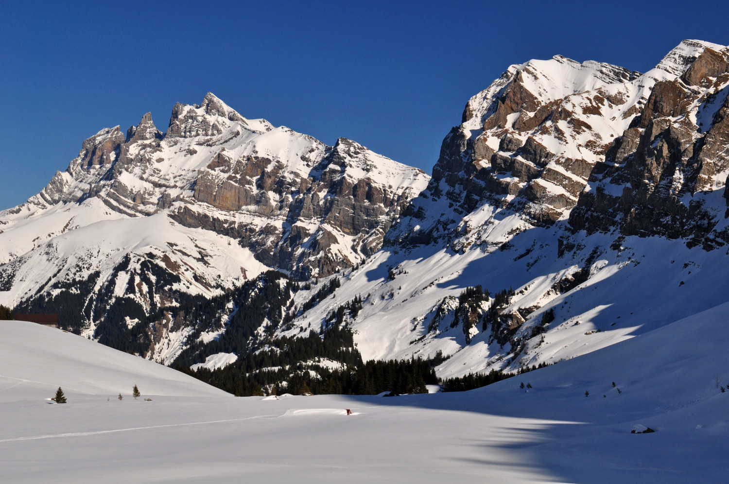 versant suisse de bretolet