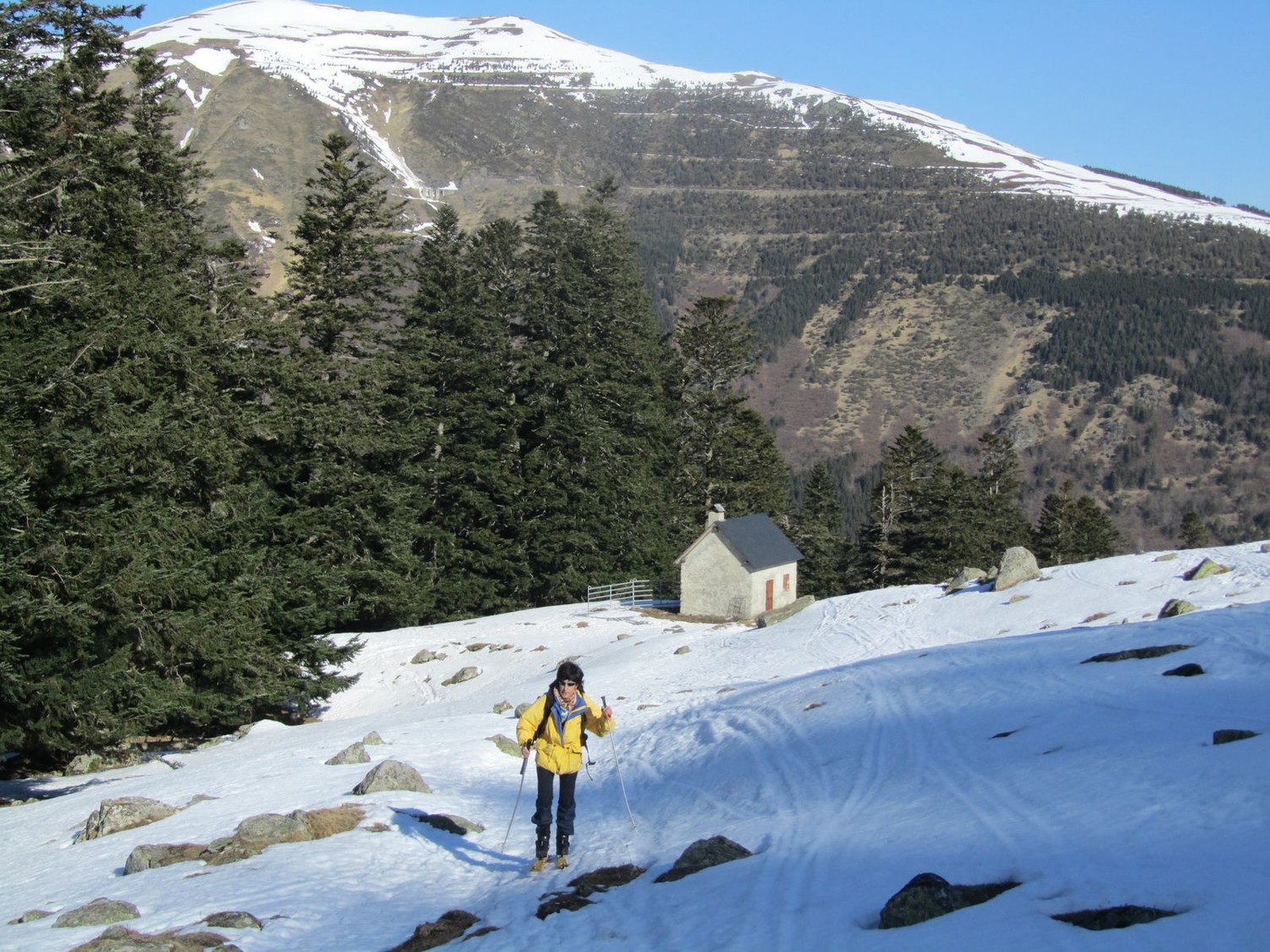 au sortir de la forêt à 1600 m
