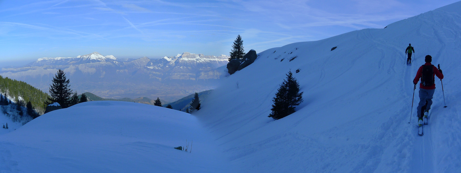 Sortie de la forêt, on profite du panorama