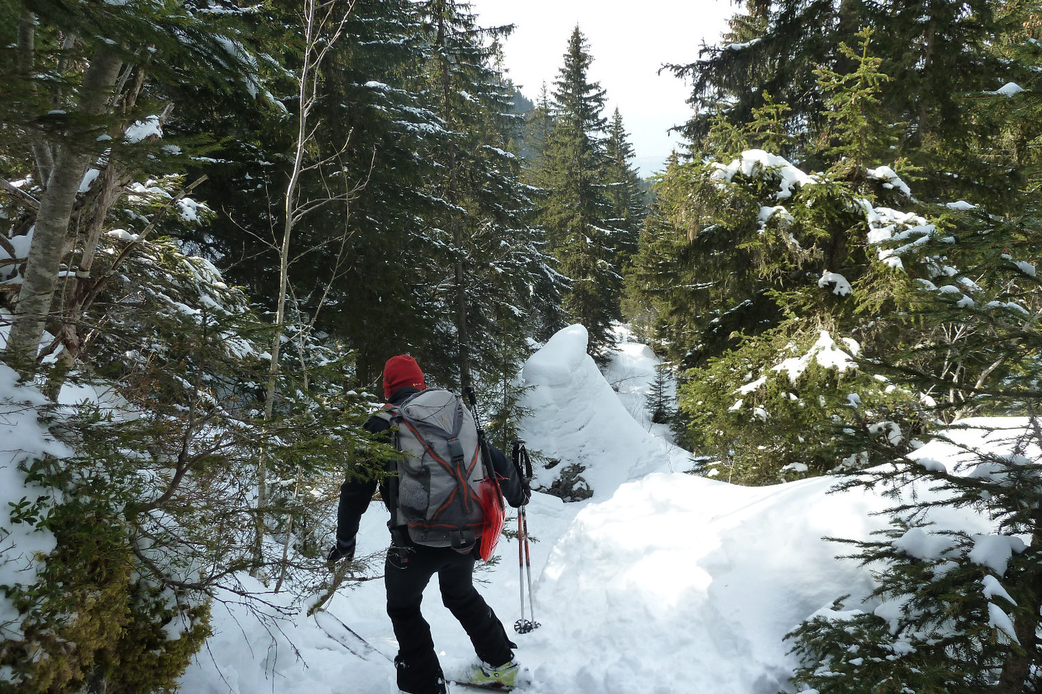 Grand Moulin Mars 2012 : dans la forêt du Gargoton , pas simple