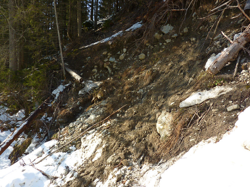 Eboulement dans la forêt d'accès à la Combe Madame