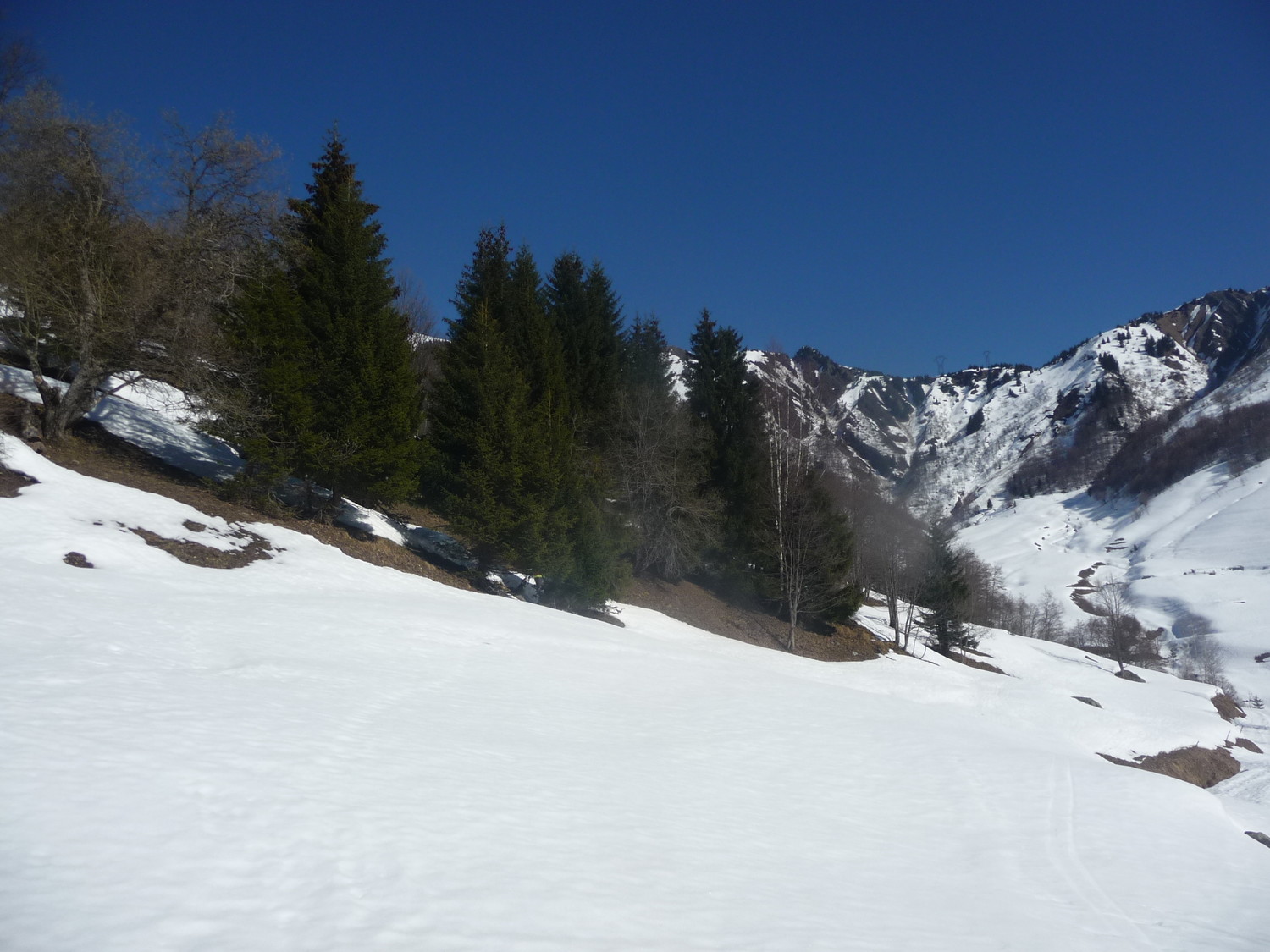 Neige super molle ds les prés,et,pourtant il n'est que 10h20