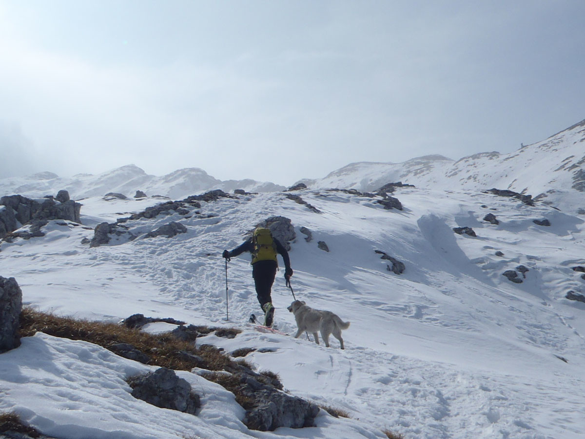 sopra al rifugio Bogani