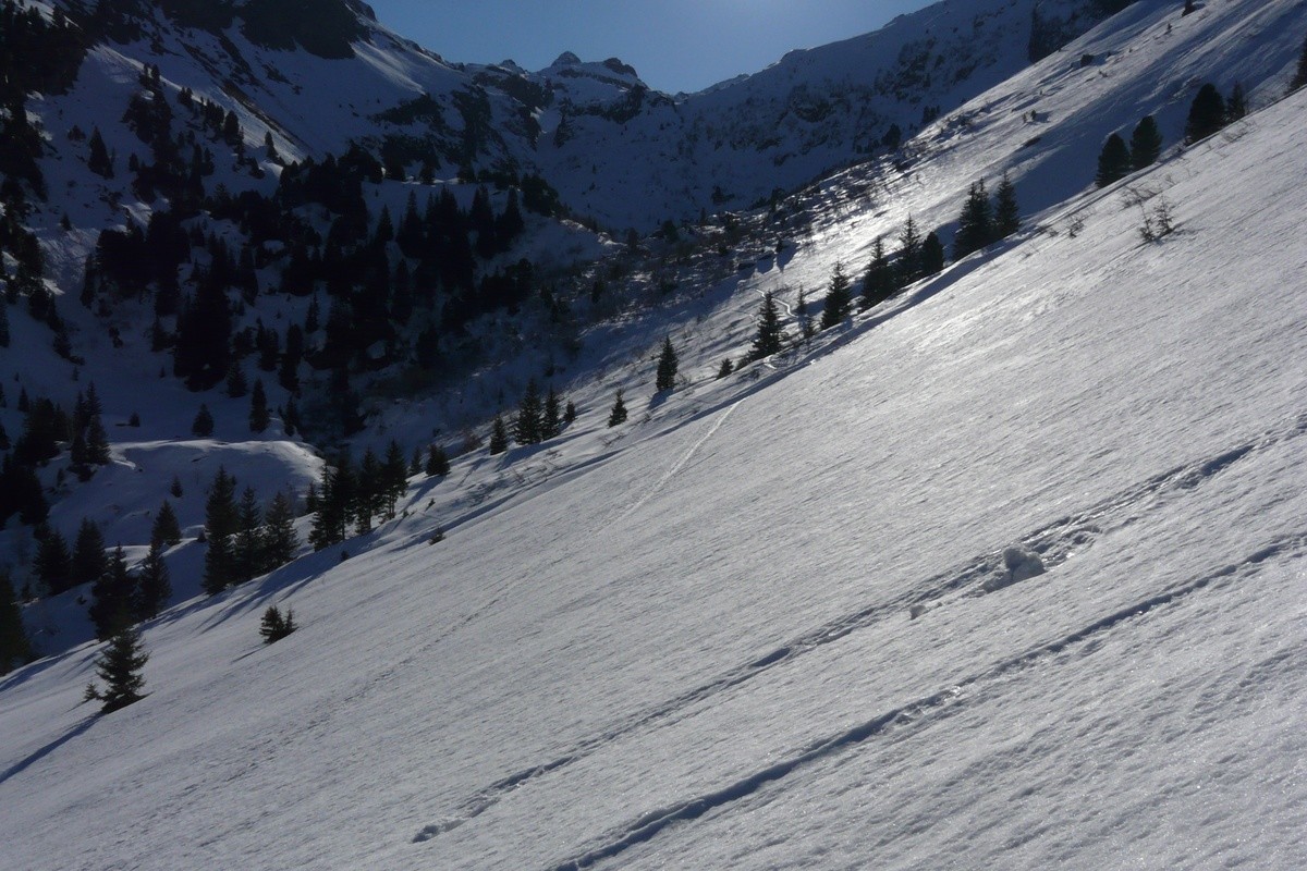 Vue depuis le Chalet du Gleyzin de la Ferrière