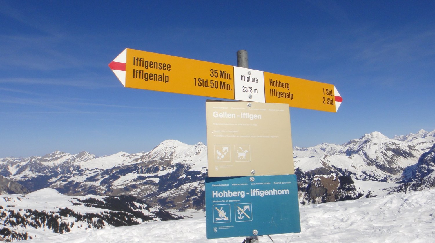 Bien enneigé dans le fond, l'Albri et Cie
