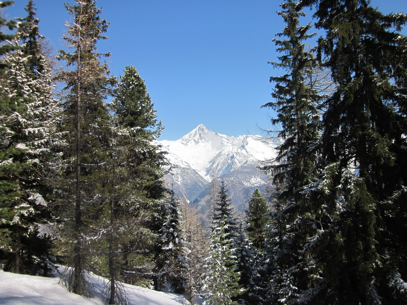 Vue sur le Bietschhorn