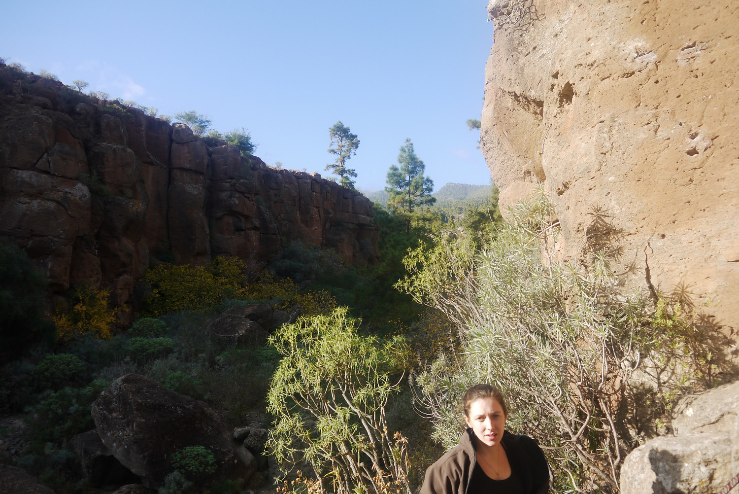 Milieu de la gorge