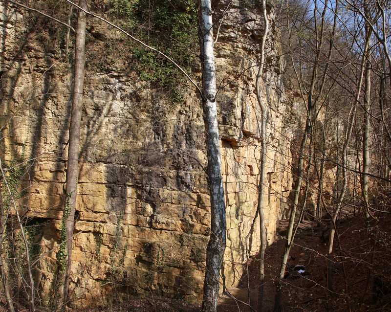 Falaise de Liverdun