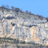 Tina Dalle