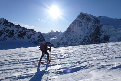 Sullo sfondo Pigne sulla destra e le punte di Dent d'Herens e Cervino
