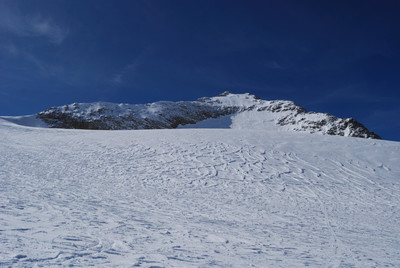 Verso l'Oberalpstock  dallo Staldenfirn  versante NE