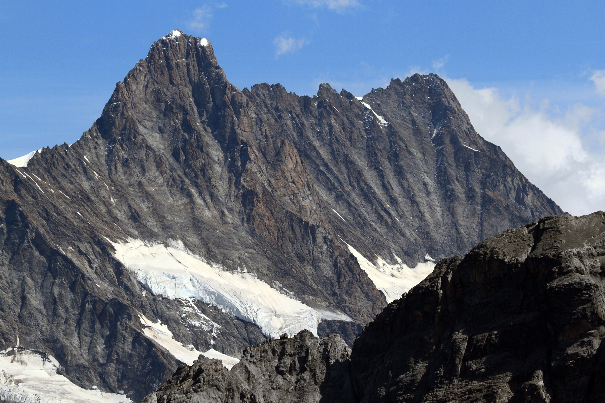 Schreckhorn : Arête SW - Camptocamp.org