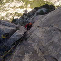 L2 bien vertical 