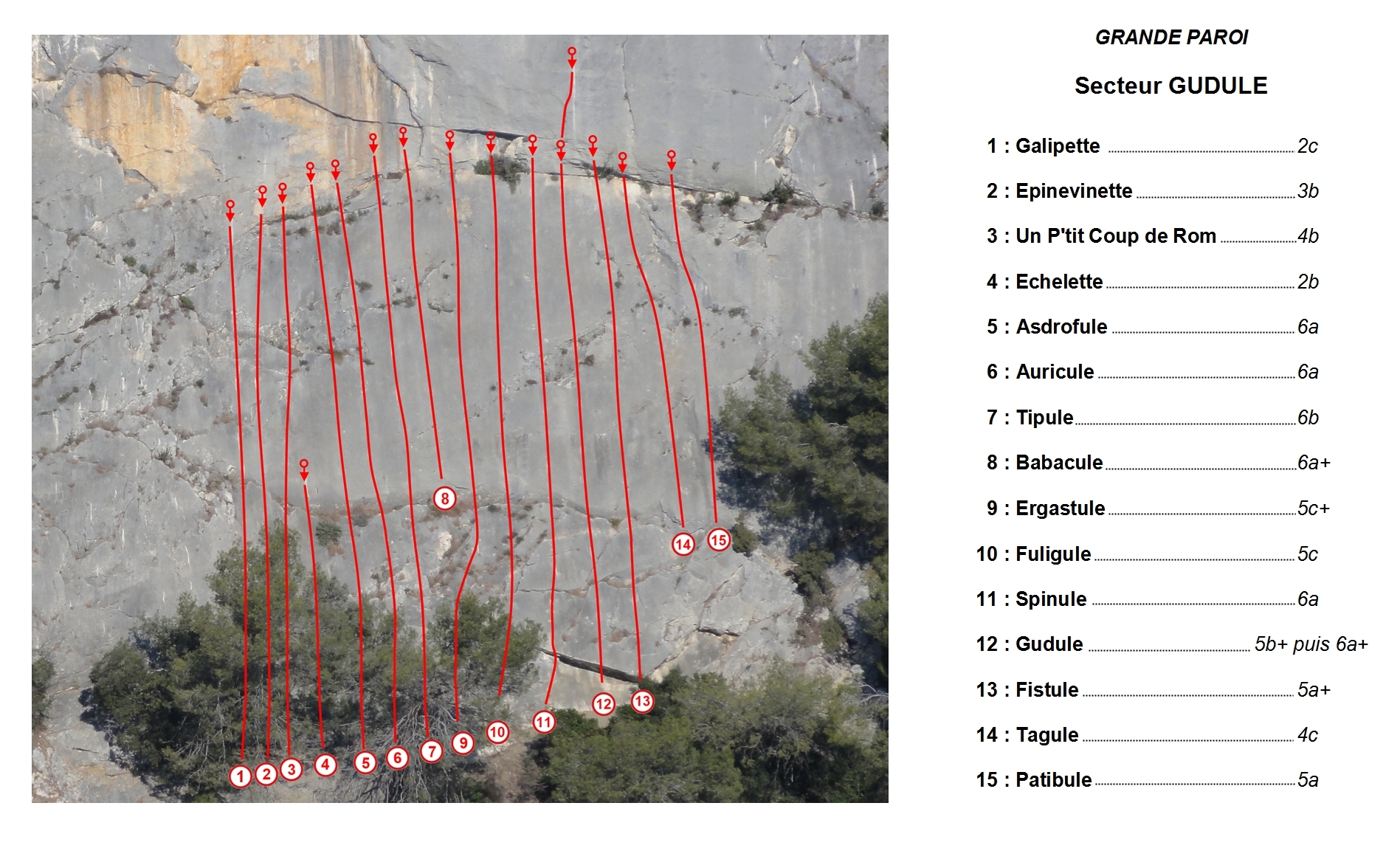 Collias : Grande Paroi : secteur Gudule