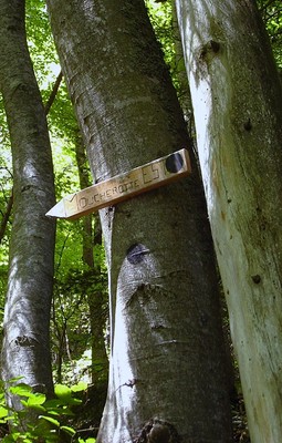 Panneau indiquant le sentier pour la face E du Moucherotte, dans l'épingle 1370-1390m