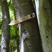 Panneau indiquant le sentier pour la face E du Moucherotte, dans l'épingle 1370-1390m