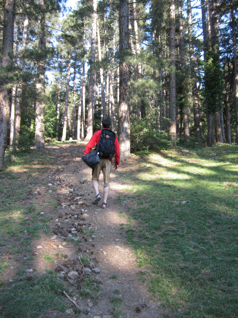 Chemin de monté à partir du col de l'Ouillat (ne pas basculer trop tôt vers les rochers, attendre d’être vers des points et une chaine évidente)