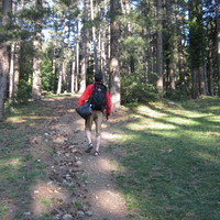Chemin de monté à partir du col de l'Ouillat (ne pas basculer trop tôt vers les rochers, attendre d’être vers des points et une chaine évidente)
