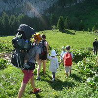dans les alpages sous le refuge d'Ubine