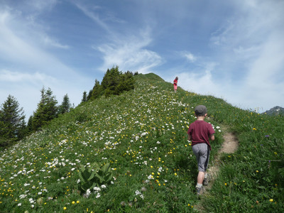 ça monte raide ça monte raide