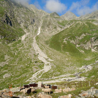 brebis sur l'alpage