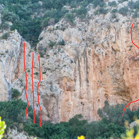 Vue d'ensemble du secteur "Slim fast"