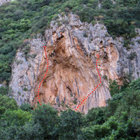 La conque