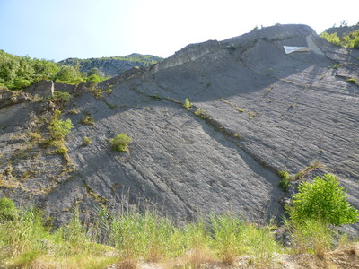 Malaussene Malaussene